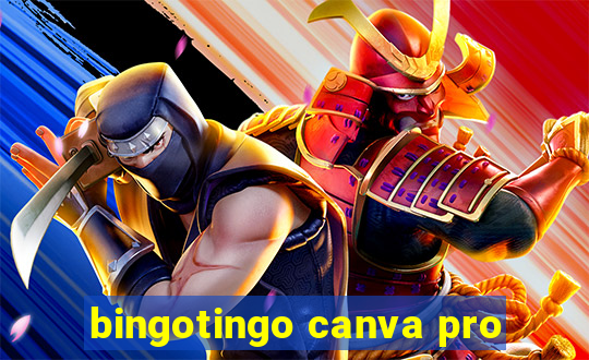 bingotingo canva pro